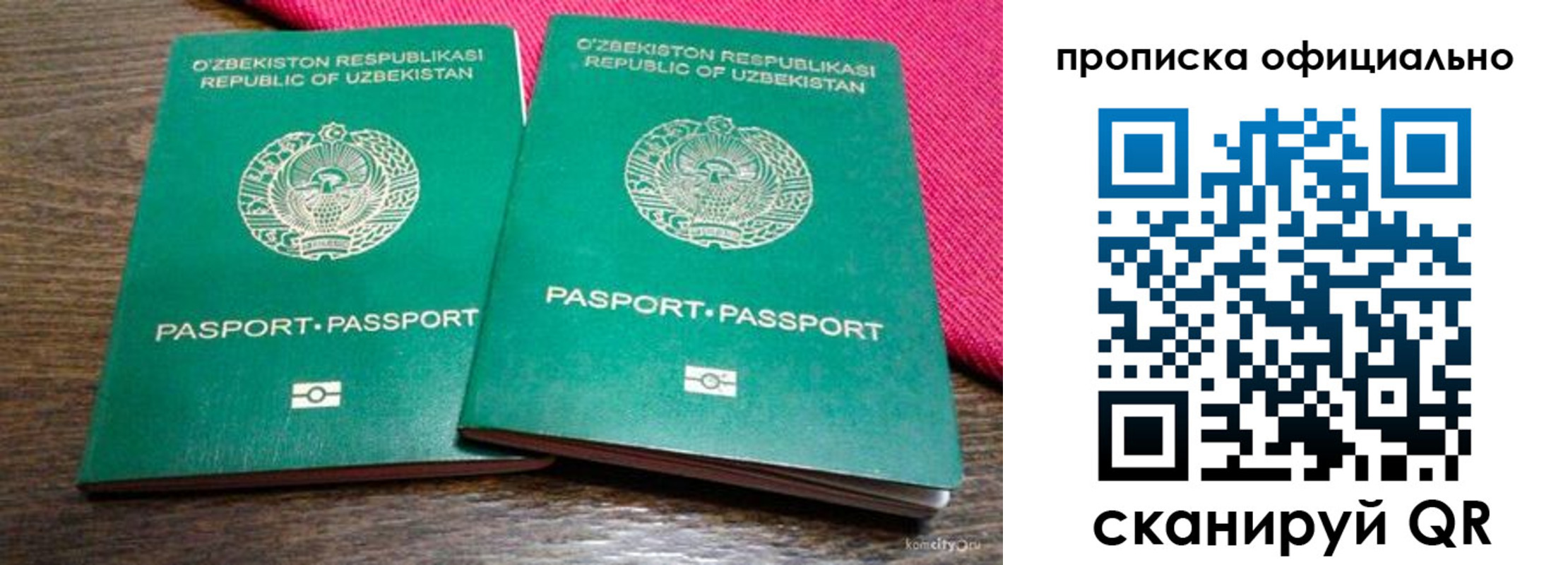 прописка для школы в Тольятти